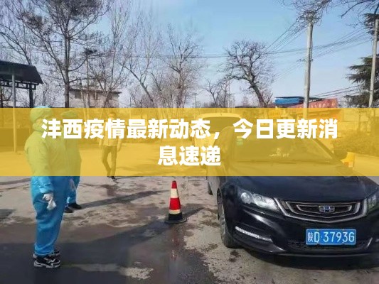 灃西疫情最新動(dòng)態(tài)，今日更新消息速遞