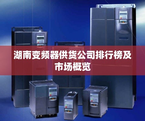 湖南變頻器供貨公司排行榜及市場(chǎng)概覽