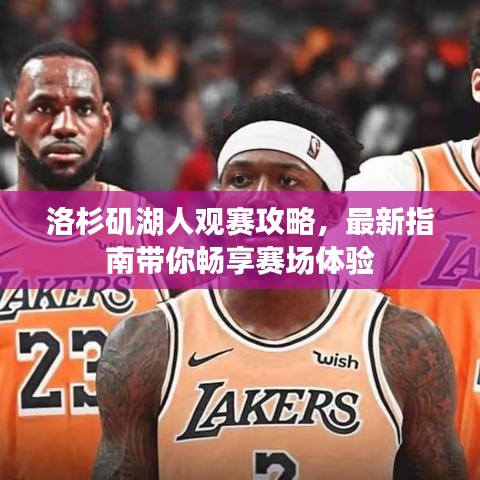 洛杉磯湖人觀(guān)賽攻略，最新指南帶你暢享賽場(chǎng)體驗(yàn)
