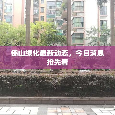 佛山綠化最新動態(tài)，今日消息搶先看