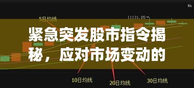 緊急突發(fā)股市指令揭秘，應(yīng)對市場變動的關(guān)鍵策略指南
