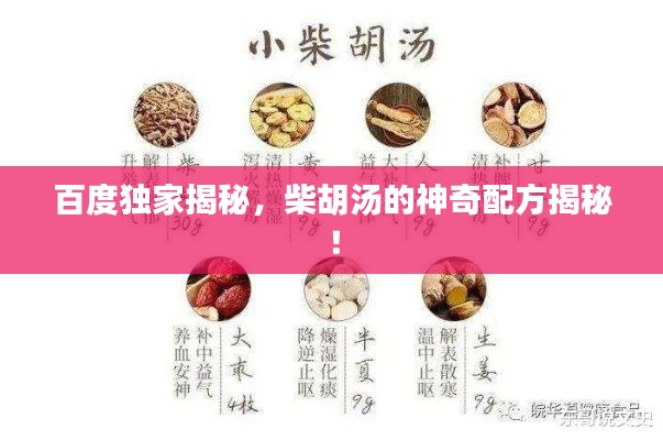 百度獨(dú)家揭秘，柴胡湯的神奇配方揭秘！