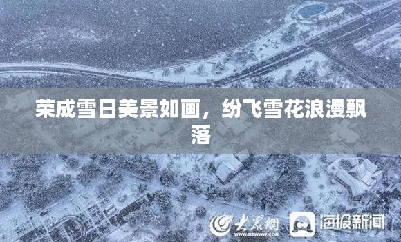 榮成雪日美景如畫，紛飛雪花浪漫飄落