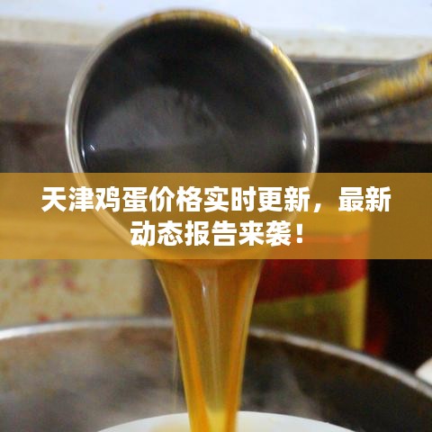 天津雞蛋價(jià)格實(shí)時(shí)更新，最新動(dòng)態(tài)報(bào)告來襲！