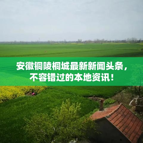 安徽銅陵桐城最新新聞?lì)^條，不容錯(cuò)過(guò)的本地資訊！