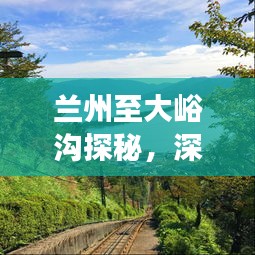 蘭州至大峪溝探秘，深度旅游攻略，暢游自然美景！