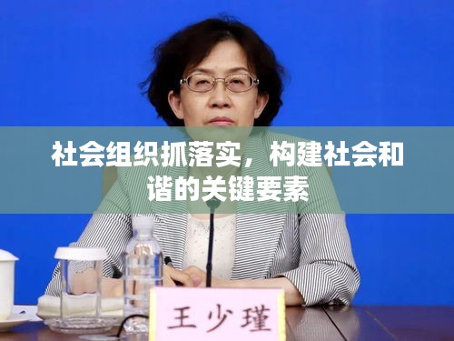 社會(huì)組織抓落實(shí)，構(gòu)建社會(huì)和諧的關(guān)鍵要素