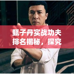 甄子丹實(shí)戰(zhàn)功夫排名揭秘，探究武術(shù)巨星的超凡實(shí)力