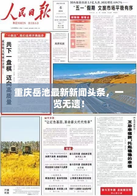重慶岳池最新新聞?lì)^條，一覽無(wú)遺！
