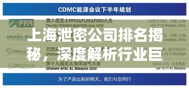 上海泄密公司排名揭秘，深度解析行業(yè)巨頭