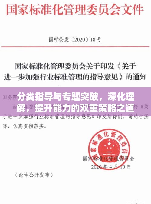 分類指導(dǎo)與專題突破，深化理解，提升能力的雙重策略之道