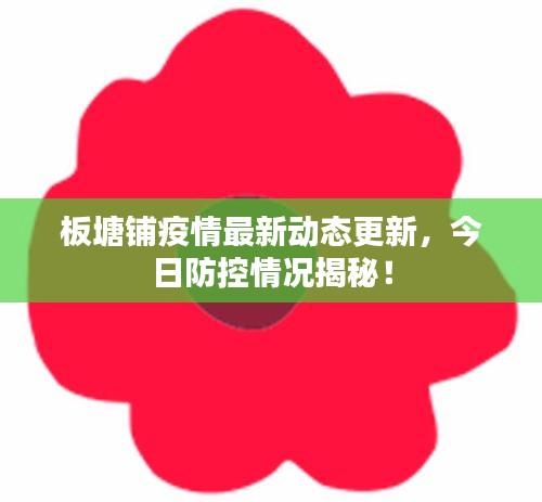 板塘鋪疫情最新動態(tài)更新，今日防控情況揭秘！