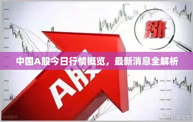 中國A股今日行情概覽，最新消息全解析
