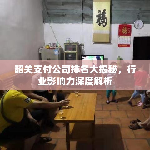 韶關(guān)支付公司排名大揭秘，行業(yè)影響力深度解析