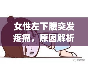 女性左下腹突發(fā)疼痛，原因解析、應對方法與預防措施
