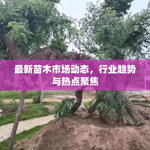 心急如焚 第2頁(yè)