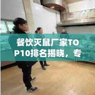 餐飲滅鼠廠家TOP10排名揭曉，專業(yè)守護餐飲安全，值得信賴的選擇！