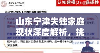 山東寧津失獨(dú)家庭現(xiàn)狀深度解析，挑戰(zhàn)與對(duì)策