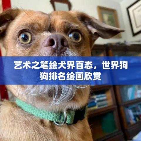 藝術(shù)之筆繪犬界百態(tài)，世界狗狗排名繪畫欣賞