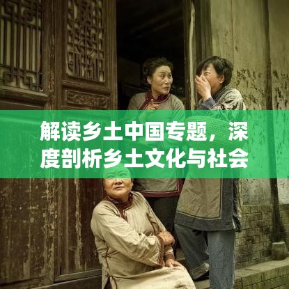 解讀鄉(xiāng)土中國專題，深度剖析鄉(xiāng)土文化與社會根源