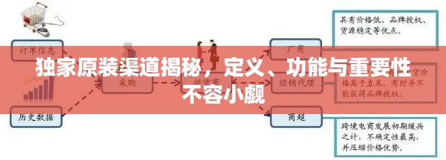 獨(dú)家原裝渠道揭秘，定義、功能與重要性不容小覷