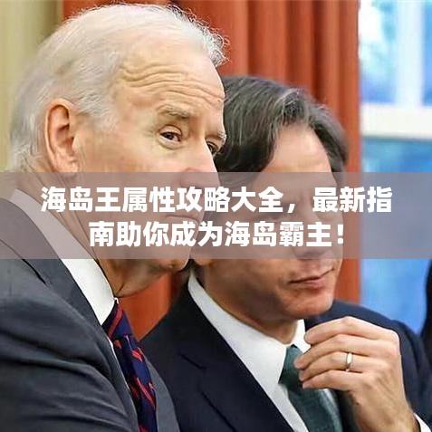海島王屬性攻略大全，最新指南助你成為海島霸主！