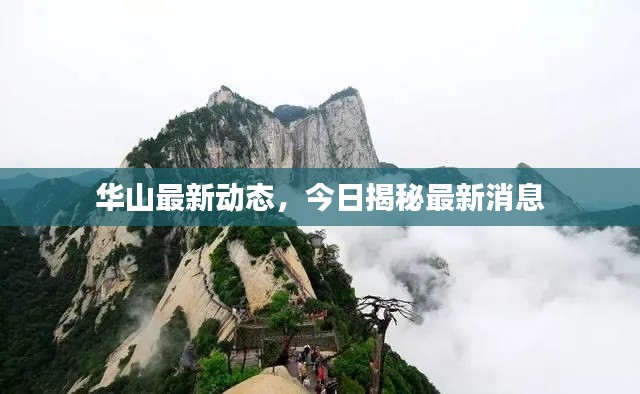 華山最新動(dòng)態(tài)，今日揭秘最新消息