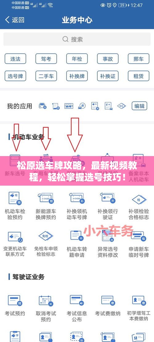 松原選車牌攻略，最新視頻教程，輕松掌握選號技巧！