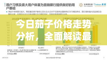 今日茄子價格走勢分析，全面解讀最新行情