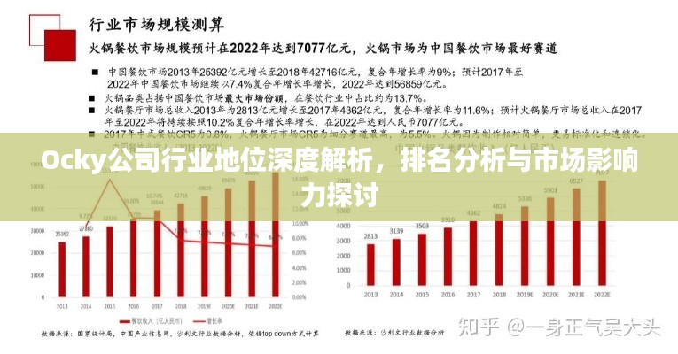 Ocky公司行業(yè)地位深度解析，排名分析與市場(chǎng)影響力探討