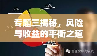 專題三揭秘，風(fēng)險與收益的平衡之道