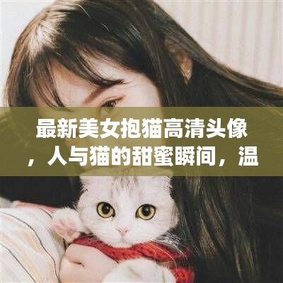 最新美女抱貓高清頭像，人與貓的甜蜜瞬間，溫馨畫面不容錯(cuò)過