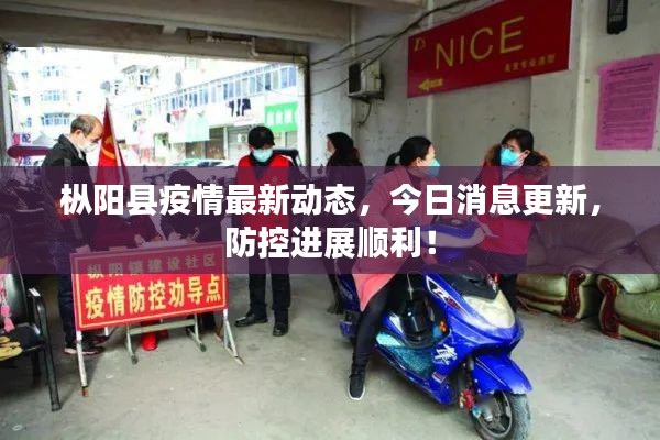 樅陽縣疫情最新動態(tài)，今日消息更新，防控進展順利！