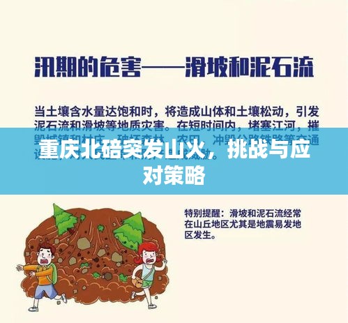 重慶北碚突發(fā)山火，挑戰(zhàn)與應(yīng)對策略