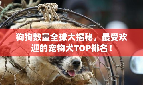 狗狗數(shù)量全球大揭秘，最受歡迎的寵物犬TOP排名！