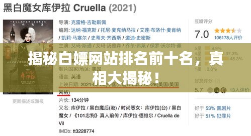 揭秘白嫖網(wǎng)站排名前十名，真相大揭秘！