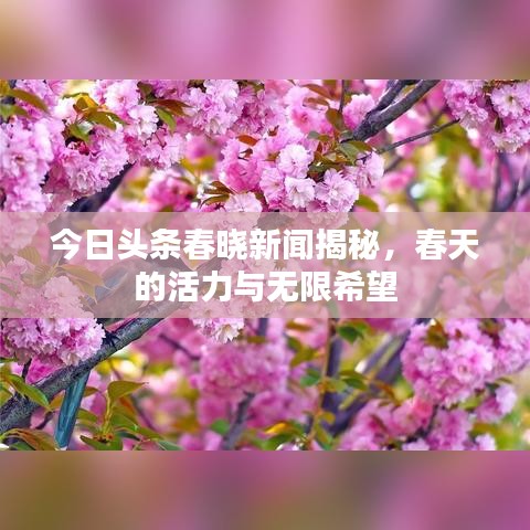 今日頭條春曉新聞揭秘，春天的活力與無限希望