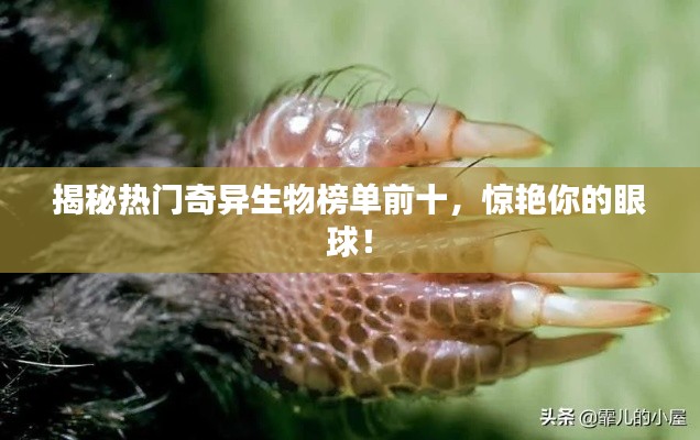 揭秘熱門奇異生物榜單前十，驚艷你的眼球！