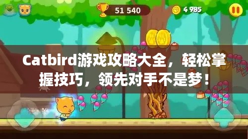 Catbird游戲攻略大全，輕松掌握技巧，領(lǐng)先對手不是夢！