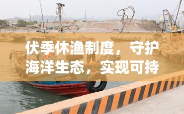 伏季休漁制度，守護海洋生態(tài)，實現(xiàn)可持續(xù)發(fā)展之路