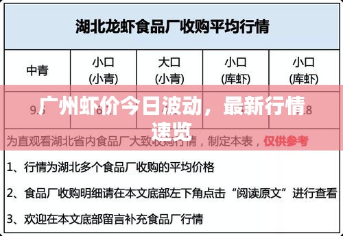 廣州蝦價(jià)今日波動(dòng)，最新行情速覽