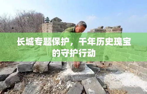 長城專題保護(hù)，千年歷史瑰寶的守護(hù)行動(dòng)