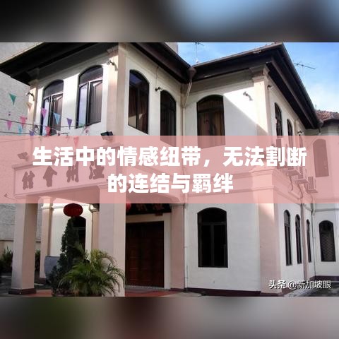生活中的情感紐帶，無(wú)法割斷的連結(jié)與羈絆