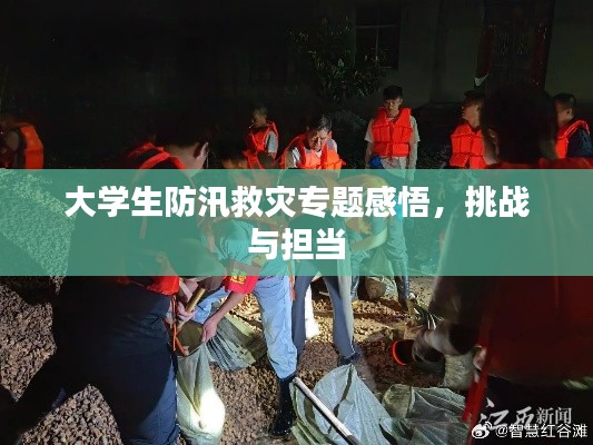 大學(xué)生防汛救災(zāi)專題感悟，挑戰(zhàn)與擔(dān)當(dāng)