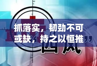 抓落實，韌勁不可或缺，持之以恒推動目標實現(xiàn)