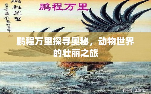 鵬程萬里探尋奧秘，動物世界的壯麗之旅