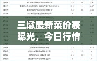 三墩最新菜價表曝光，今日行情，不容錯過！