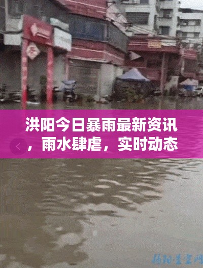 洪陽今日暴雨最新資訊，雨水肆虐，實(shí)時(shí)動(dòng)態(tài)關(guān)注！