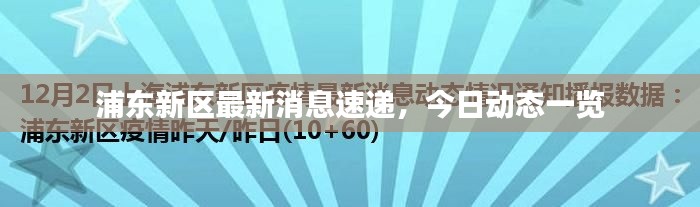 浦東新區(qū)最新消息速遞，今日動(dòng)態(tài)一覽