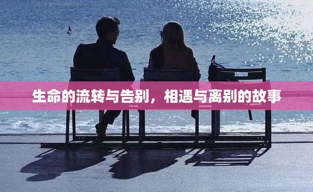 生命的流轉(zhuǎn)與告別，相遇與離別的故事